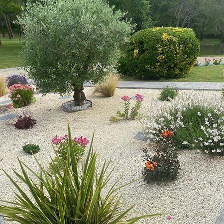 Bed and Breakfast Les Pins Perdus Saint-Ciers-d'Abzac Екстер'єр фото