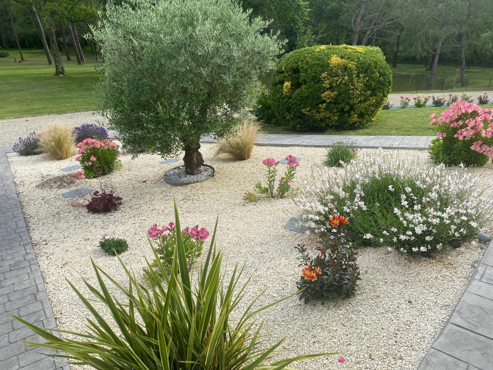 Bed and Breakfast Les Pins Perdus Saint-Ciers-d'Abzac Екстер'єр фото