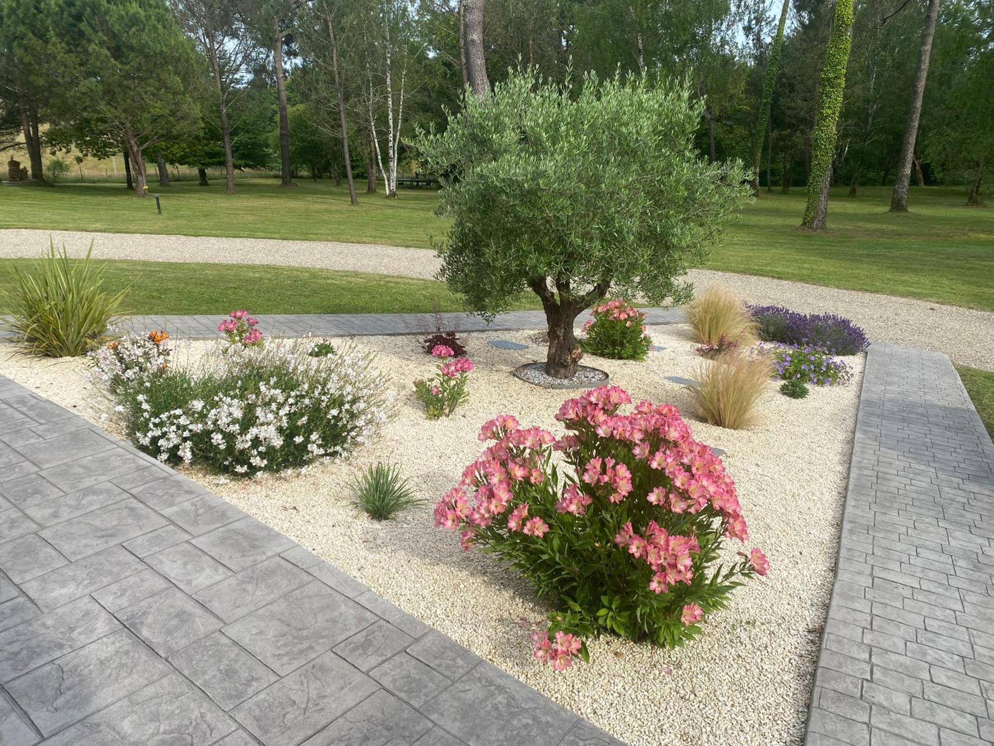Bed and Breakfast Les Pins Perdus Saint-Ciers-d'Abzac Екстер'єр фото